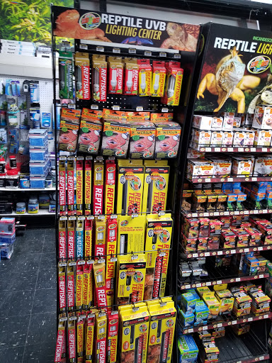Pet Store «Pets Plus-Reptiles & Exotic», reviews and photos, 421 West Ave, Lockport, NY 14094, USA
