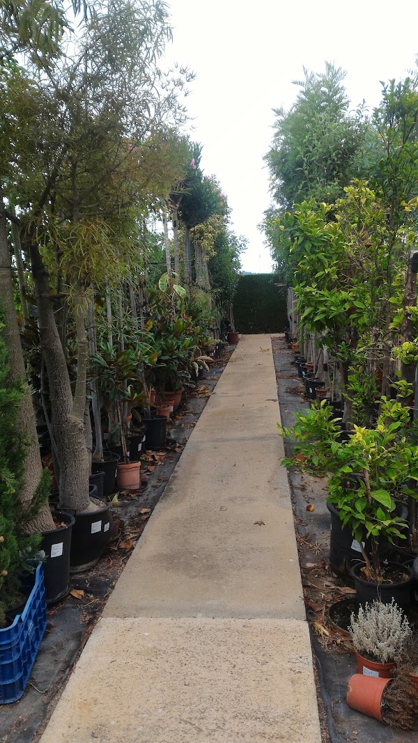 Imagen de Centro de Jardinería Kuka (22 de 32)