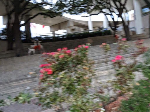 Tourist Attraction «Mandalay Canal Walk at Las Colinas», reviews and photos, 215 Mandalay Canal, Irving, TX 75039, USA