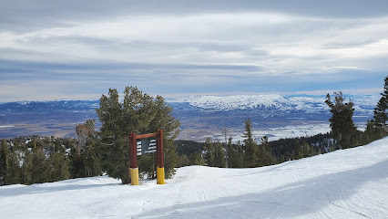 Top of Olympic Express