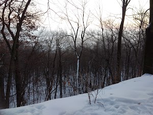 Northwest Park - photo 68