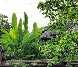 Bali Agung Village photo