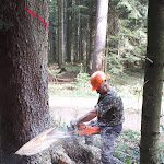Photo n°1 de l'avis de Tiberiu.a fait le 18/10/2018 à 09:29 sur le  Gasthaus Hutneck à Schramberg