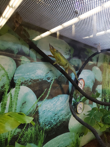 Pet Supply Store «Petco Animal Supplies», reviews and photos, 27111 167th Pl SE #113, Covington, WA 98042, USA