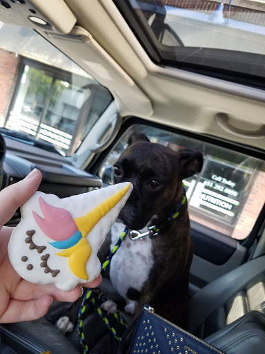 Pet Groomer «Bubbly Paws Dog Wash & Grooming», reviews and photos, 949 Grand Ave, St Paul, MN 55105, USA