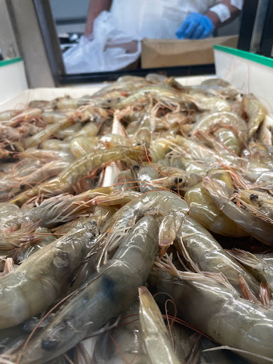 Asian Grocery Store «99 Ranch Market», reviews and photos, 1340 Artesia Blvd, Gardena, CA 90248, USA