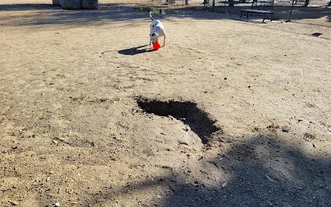 Flora Vista Dog Park image