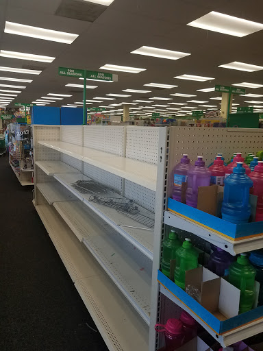 Dollar Store «Dollar Tree», reviews and photos, 450 Ritchie Hwy a, Severna Park, MD 21146, USA