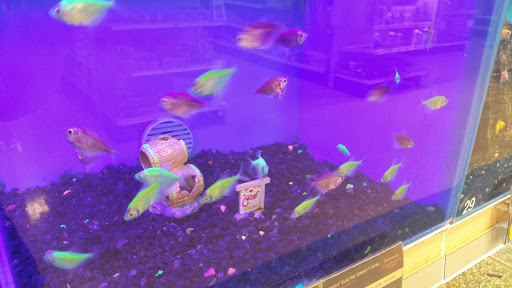 Pet Supply Store «PetSmart», reviews and photos, 13600 Baltimore Ave, Laurel, MD 20707, USA