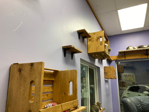 Pet Supply Store «Animal House Pet Supplies», reviews and photos, 733 Phillips Blvd, Sauk City, WI 53583, USA