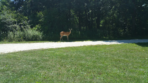 Nature Preserve «Greenbelt Forest Preserve», reviews and photos, 1110 S Green Bay Rd, North Chicago, IL 60035, USA