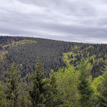 Photo n° 8 de l'avis de Ludovic.u fait le 15/05/2021 à 18:27 pour Sanctuaire du Mont Sainte Odile à Ottrott
