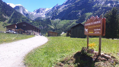 Chèvrerie de Chavière à Pralognan-la-Vanoise