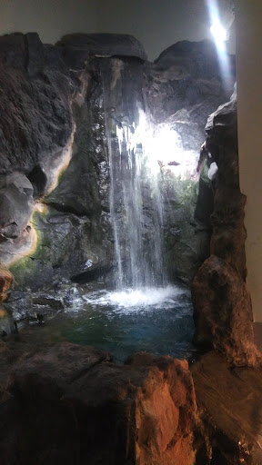 Pet Store «Incredible Pets Inc», reviews and photos, 2255 N Wickham Rd # 102, Melbourne, FL 32935, USA