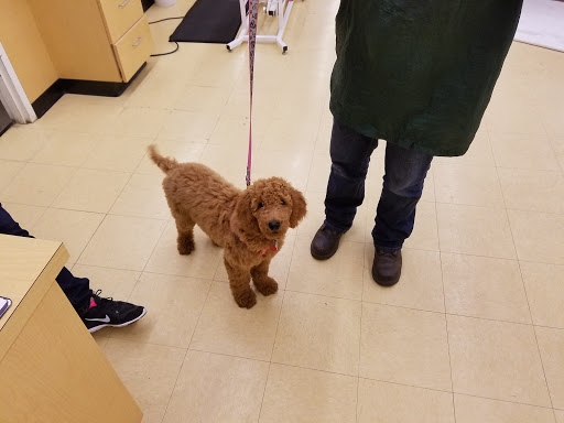 Pet Supply Store «Pet Supplies Plus», reviews and photos, 5229 Library Rd, Bethel Park, PA 15102, USA