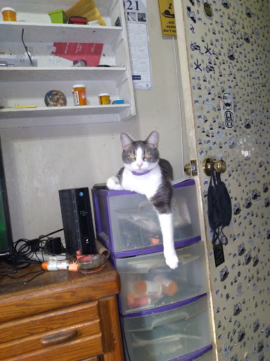 Home Improvement Store «The Home Depot», reviews and photos, 690 Riverpoint Ct, West Sacramento, CA 95605, USA