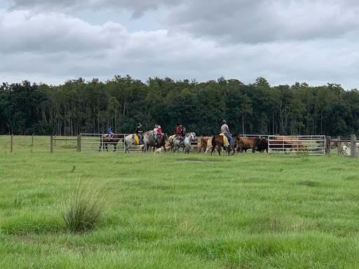 Tourist Attraction «Partin Ranch Corn Maze», reviews and photos, 5601 N Canoe Creek Rd, Kenansville, FL 34739, USA