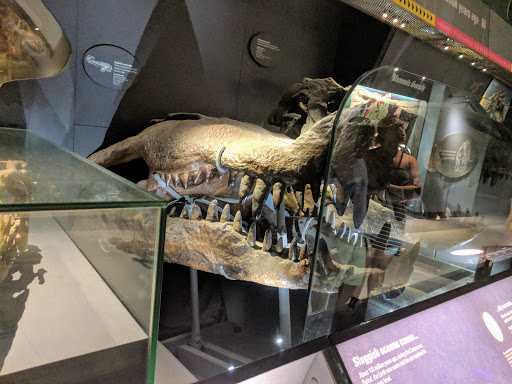 Shopping Mall «Brick Church Plaza», reviews and photos, 533 Main St, East Orange, NJ 07018, USA