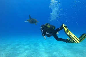 I Dive Cyprus image