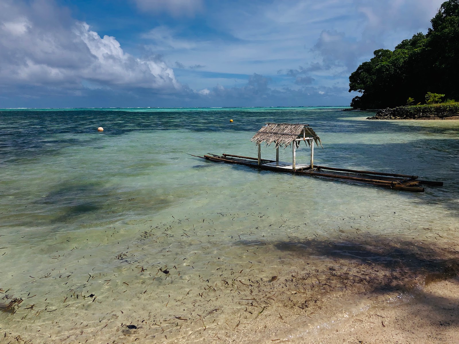 Palau East Beach的照片 带有碧绿色纯水表面
