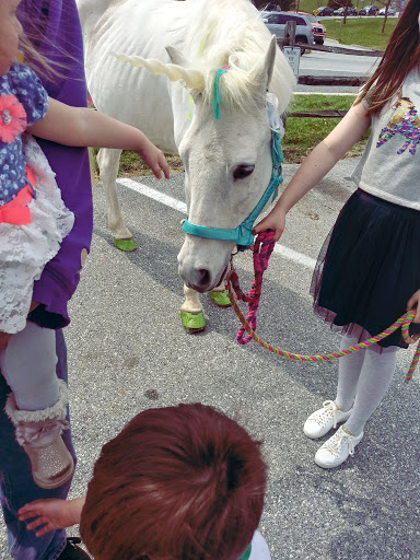 Hardware Store «Brandywine Ace Pet & Farm», reviews and photos, 1150 Pocopson Rd, West Chester, PA 19382, USA