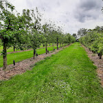 Photo n° 4 de l'avis de Florence. fait le 21/05/2022 à 20:58 pour Musée Robert Tatin à Cossé-le-Vivien