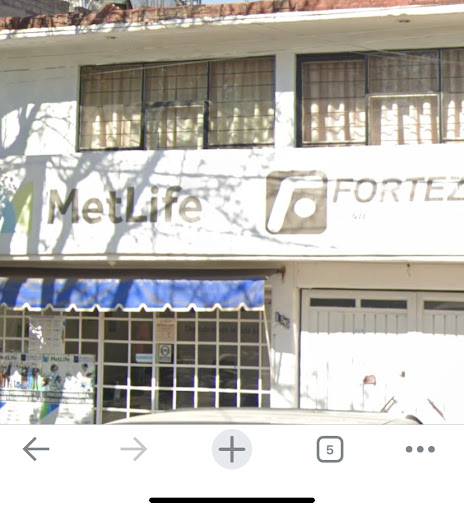 Metlife Forteza Jardines