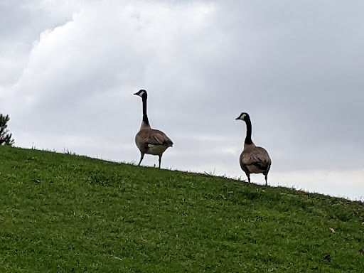 Park «Craig Regional Park», reviews and photos, 3300 N State College Blvd, Fullerton, CA 92835, USA