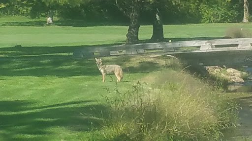Private Golf Course «Legend Lake Golf Club», reviews and photos, 11135 Auburn Rd, Chardon, OH 44024, USA