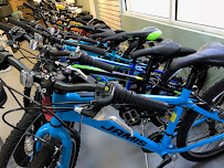 Sweetgrass Cycles - Photo 4 - Car repair in Mt Pleasant, SC, Charleston
