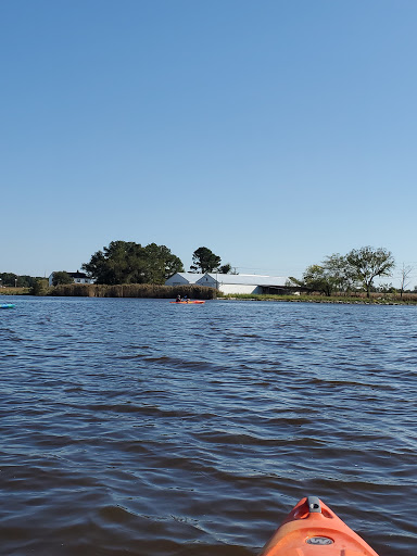 Boat Rental Service «Blackwater Paddle and Pedal Adventures», reviews and photos, 2524 Key Wallace Dr, Cambridge, MD 21613, USA