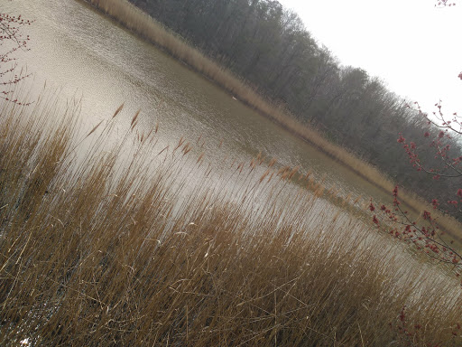 Park «Eastern Regional Park», reviews and photos, 11723 Eastern Ave, Middle River, MD 21220, USA