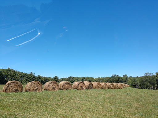 Museum «Dorflinger Glass Museum», reviews and photos, 37 Suydam Dr, White Mills, PA 18473, USA