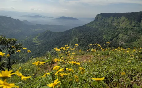 Alexander point image