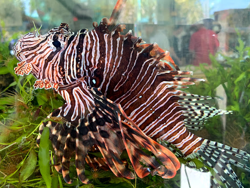 Marina «Sunrise Fish Dive Surf», reviews and photos, 505 Glen Cheek Dr, Port Canaveral, FL 32920, USA