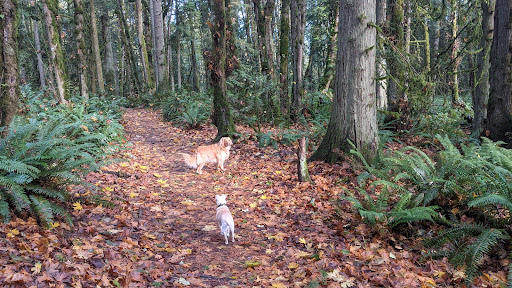 Newton Road Trailhead