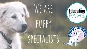 Educating Paws- the home of Puppy School Wroxham & Hethersett