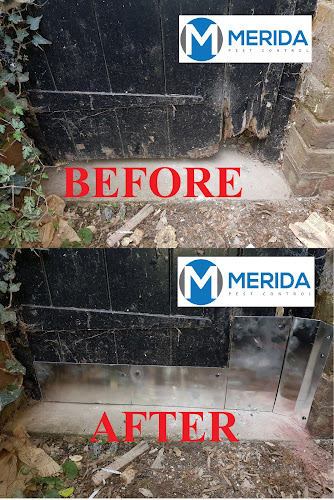 Comments and reviews of Merida Pest Control - Hounslow