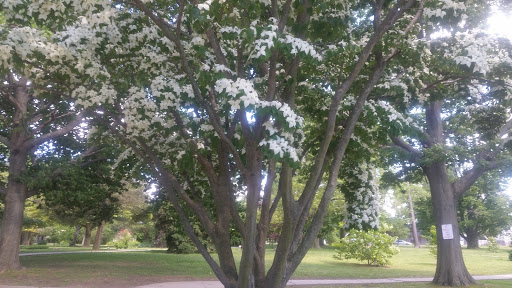 Park «Post Park», reviews and photos, 451 Unqua Rd, Massapequa Park, NY 11762, USA