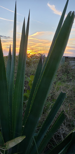 Public Beach «Pass-A-Grille Beach», reviews and photos, 113 11th Ave, Pass-A-Grille Historic District, FL 33706, USA