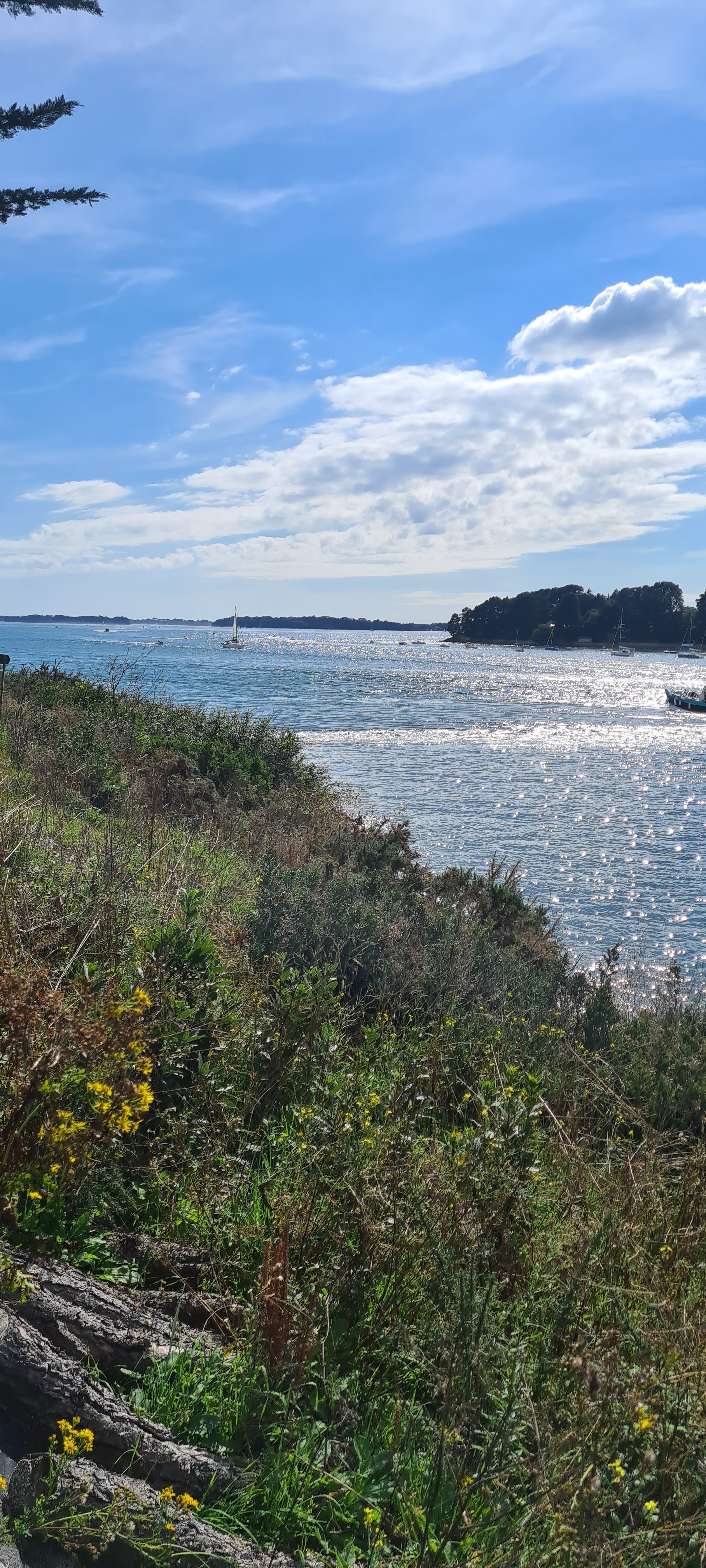 Photo n° 3 de l'avis de Arnaud.u fait le 26/08/2023 à 20:42