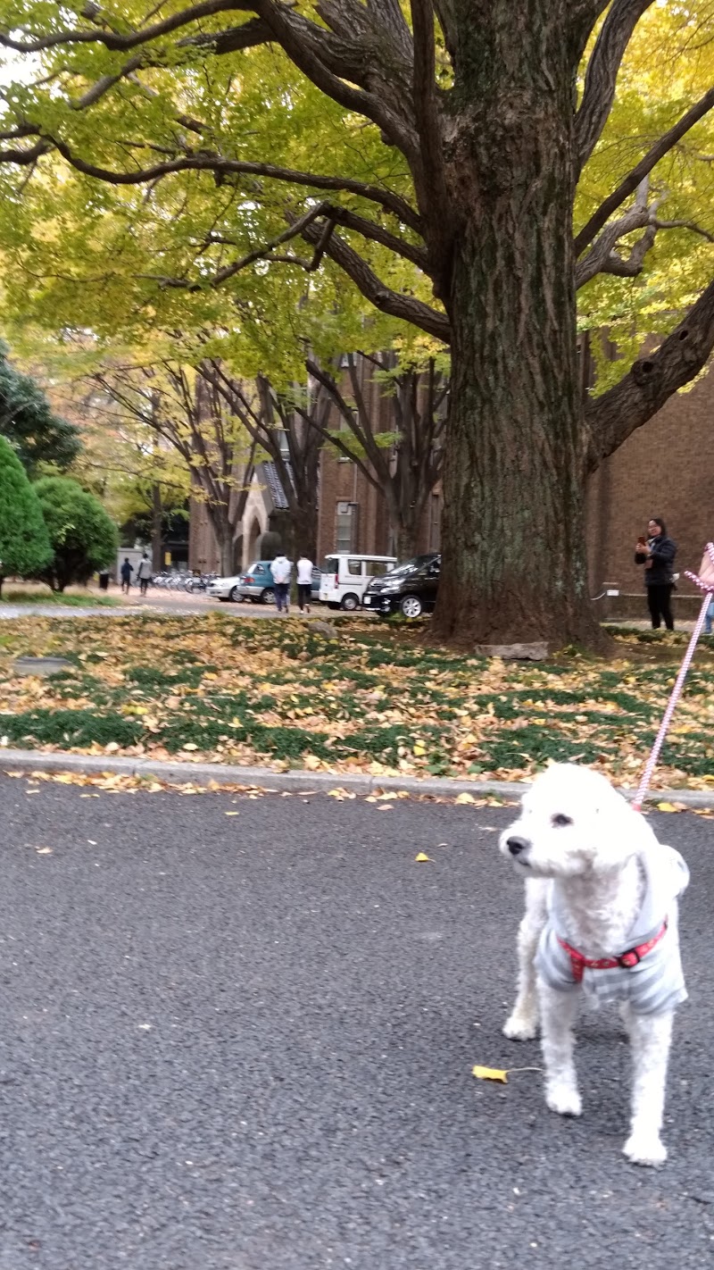 東京大学附属動物医療センター