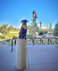 Tip Top K9 The Woodlands Dog Training - Photo 3 - Car repair in Spring, TX, The Woodlands