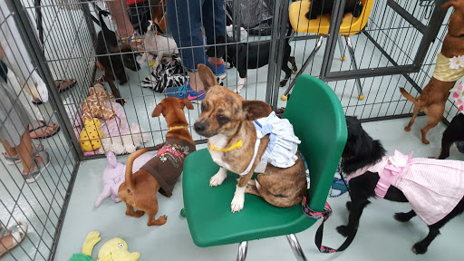 Pet Store «Wet Pets N Critters», reviews and photos, 103 TX-281 Loop, Longview, TX 75605, USA