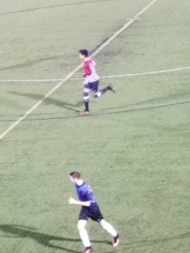 Stadium «Reese Stadium», reviews and photos, 75 Central Ave, New Haven, CT 06515, USA