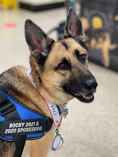 Pet Supply Store «PetSmart», reviews and photos, 6060 Long Prairie Rd, Flower Mound, TX 75028, USA