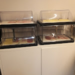 Photo n°6 de l'avis de BruRA. fait le 10/03/2023 à 22:41 sur le  Culture Hotel Centro Storico à Naples