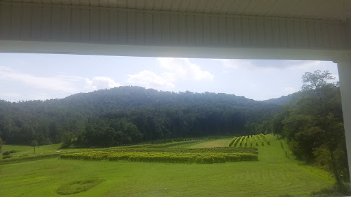 Winery «Loving Cup Vineyard & Winery», reviews and photos, 3340 Sutherland Rd, North Garden, VA 22959, USA