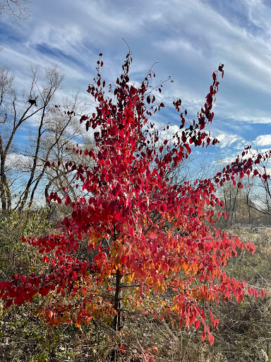 Nature Preserve «Raven Glen Forest Preserve», reviews and photos, 41080 US-45, Antioch, IL 60002, USA