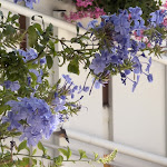 Photo n°1 de l'avis de Marta.r fait le 14/08/2023 à 15:00 sur le  Hotel Alexander à Caorle